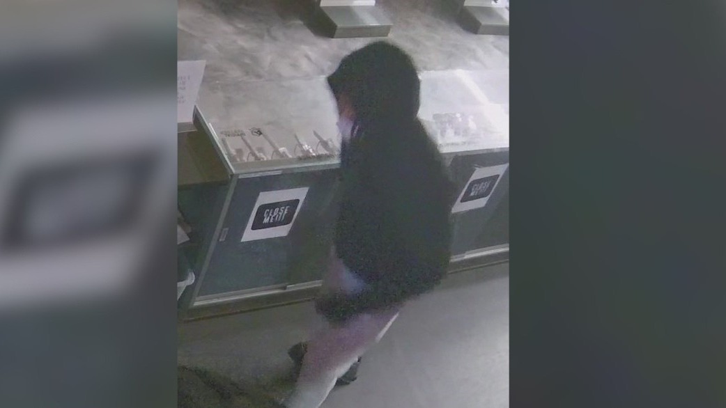 Suspects break into suburban gun range, steal more than 20 firearms