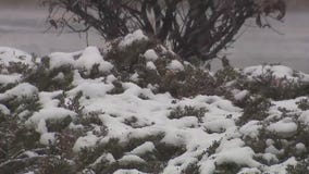 Snow piling up in Chicago area