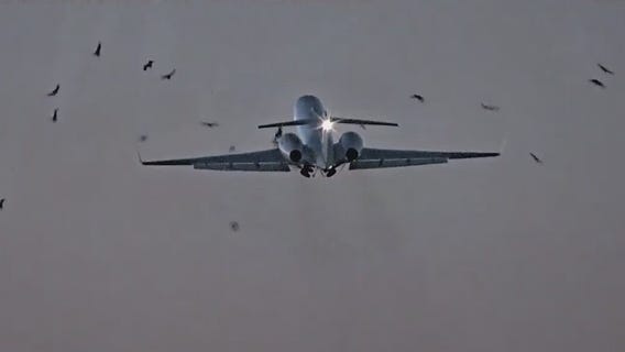 Dramatic video shows the moments airplane strikes birds after taking off from Midway Airport
