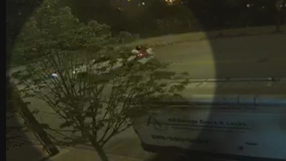 'I lost my soulmate': Wife of Chicago teacher seeks justice after husband killed in traffic crash