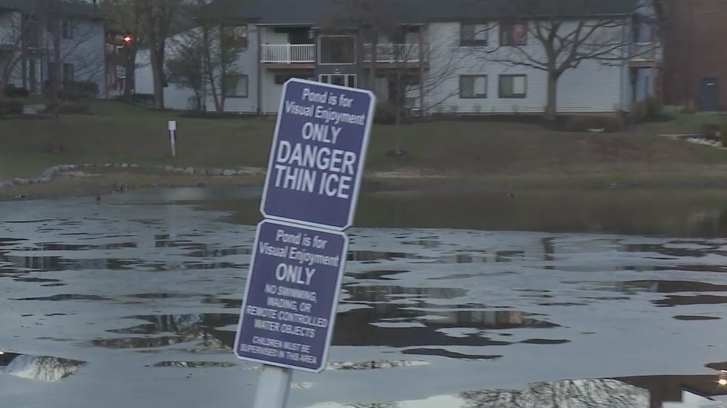 Two young brothers are dead after falling in an icy suburban pond