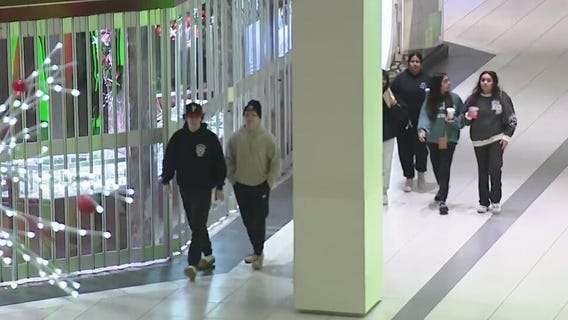 Black Friday is back and so are the deals at Woodfield Mall