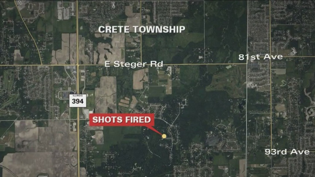 Man attacks elderly couple in Will County home, deputies say