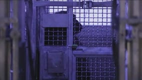 Lincoln Park Zoo assists in relocating chimps left behind in LA