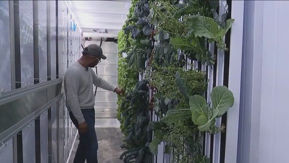 Suburban tiny farm brings fresh foods to impoverished communities