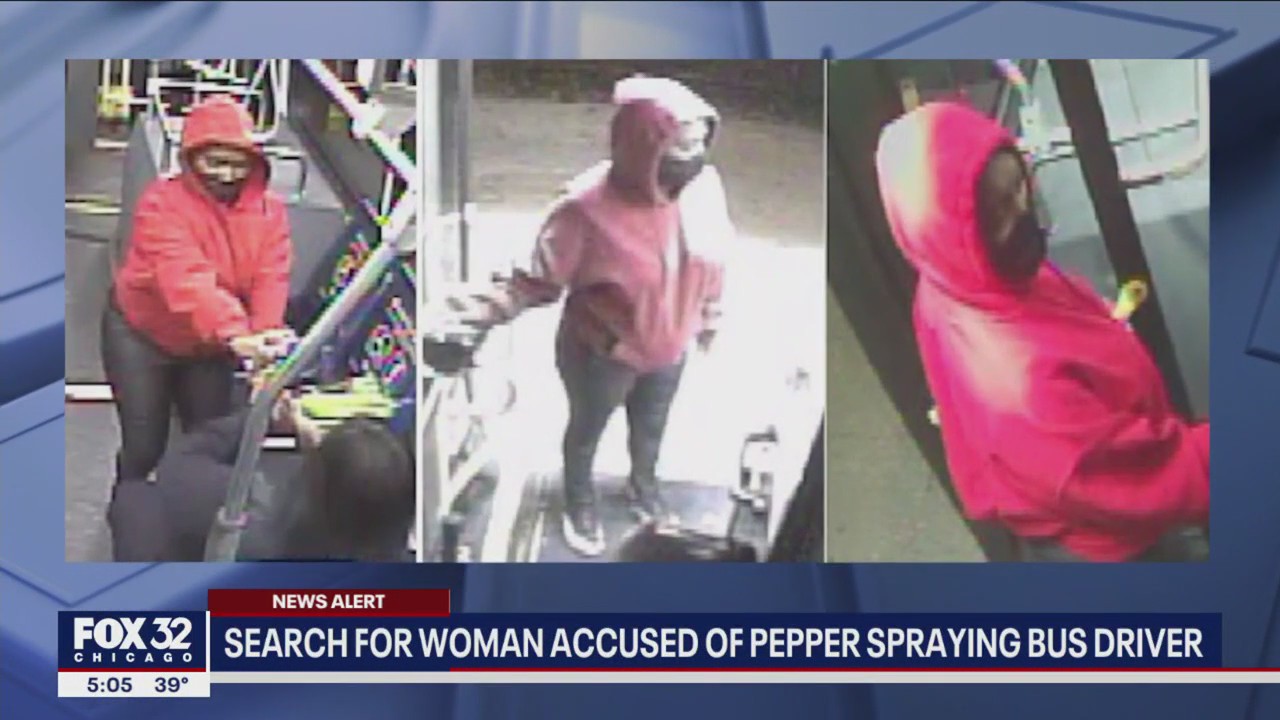 Woman accused of pepper spraying CTA bus driver