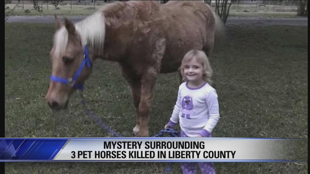 Fox 26 Digital News Brief for Feb. 22, 2018