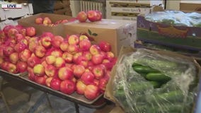 Free Food Market opens up in Woodlawn to provide support and supplies to Chicago residents