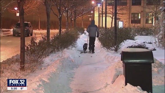 How to keep pets safe during winter weather