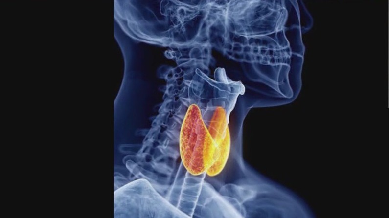 Finding balance the naturopath way