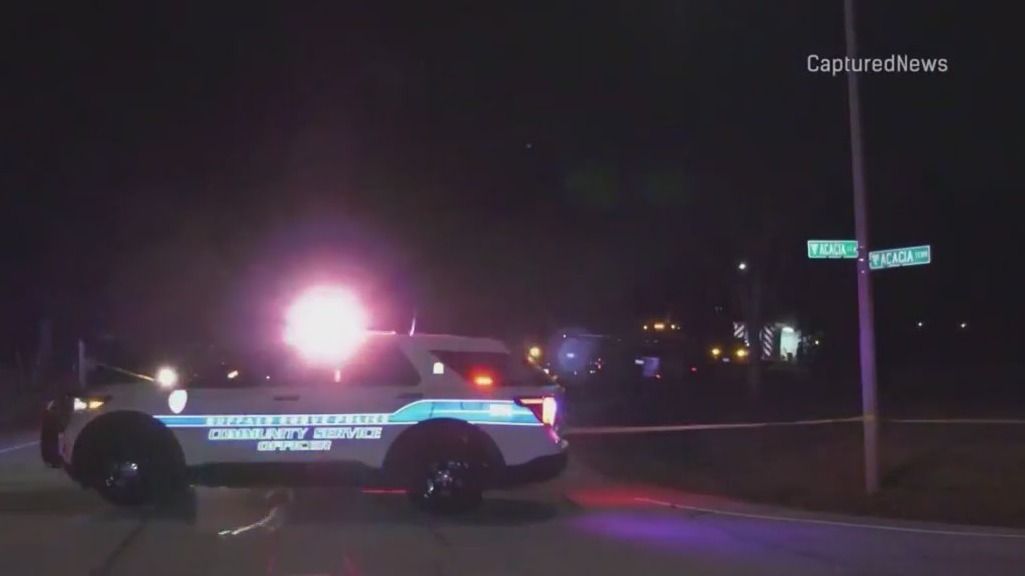 New details emerge in Buffalo Grove murder-suicide