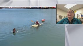 Bald Eagle rescued from frozen pond in suburban Chicago