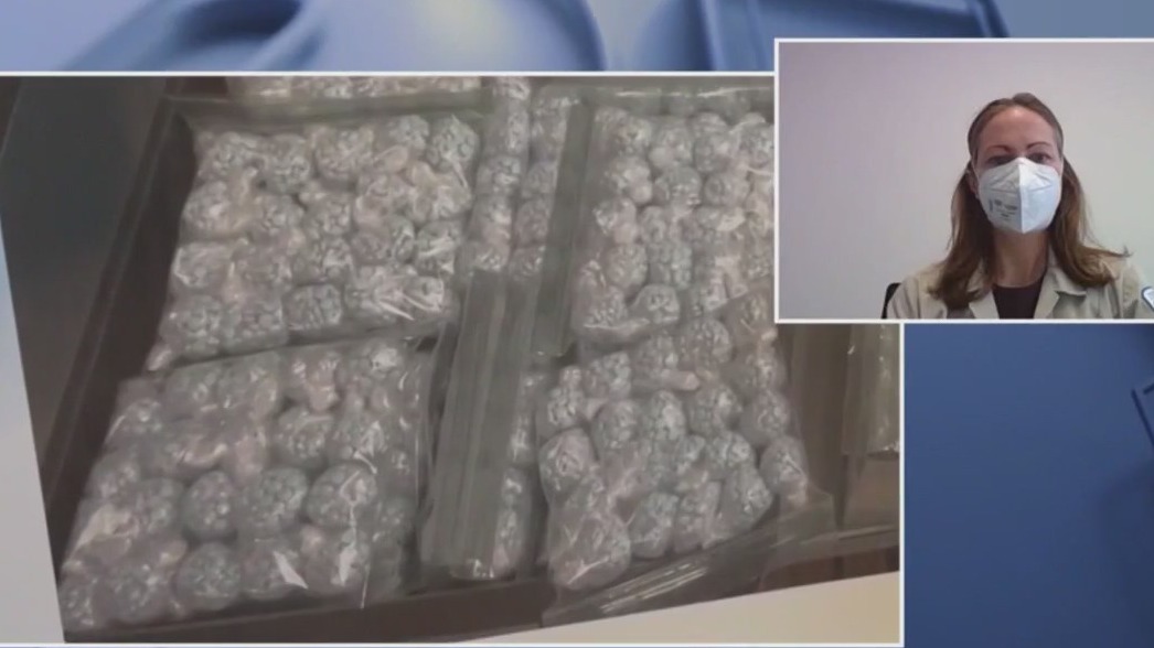 Opioid crisis continues in Cook County