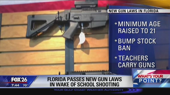 Gun control What's Your Point?