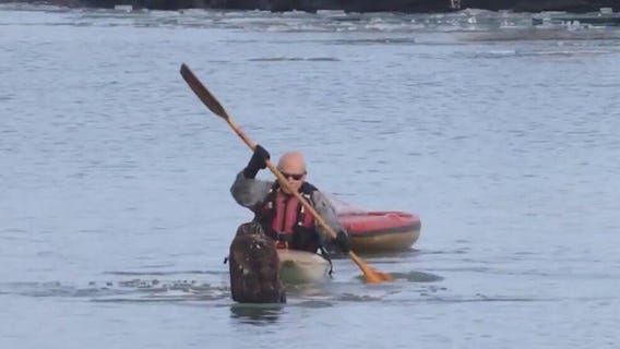 Bald Eagle rescued from frozen water has died