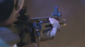 Hundreds rally in support of gun control bill 6 months after Highland Park parade mass shooting