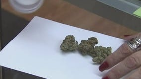 Cannabis sales hit record high in 2022 for Illinois