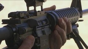 Illinois House committee passes assault weapons ban