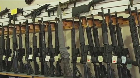 Activists flood the Illinois capitol to call for stricter gun laws