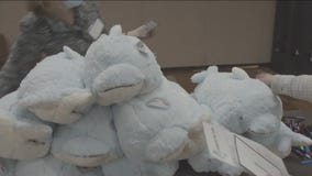 Good News Guarantee: Veterinarians give special gifts to sick children at Chicago's Lurie Hospital