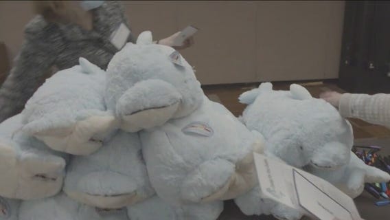 Good News Guarantee: Veterinarians give special gifts to sick children at Chicago's Lurie Hospital