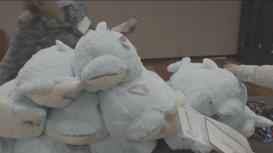 Good News Guarantee: Veterinarians give special gifts to sick children at Chicago's Lurie Hospital