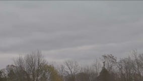 How to increase your Vitamin D in the winter