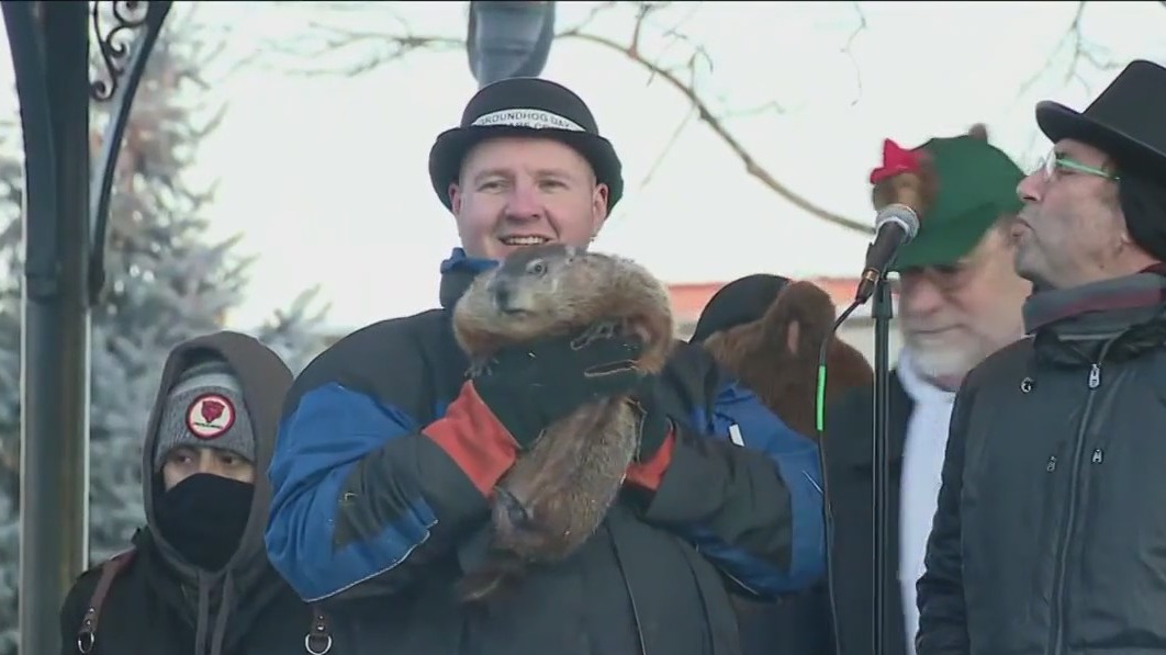 Woodstock Willie makes his Groundhog Day prediction