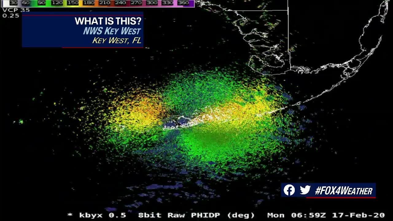 Warmer Weekend Weather