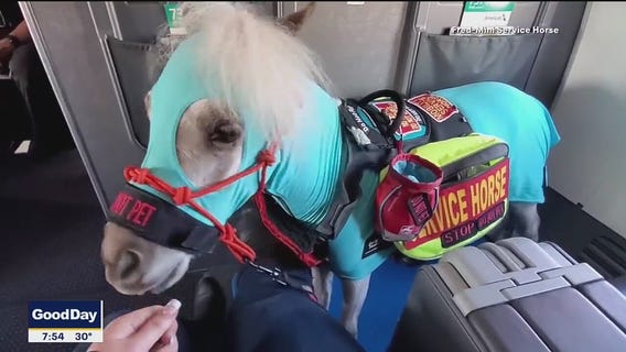 Tell It To Tim: Apologies, car horns and the leaning tower of Dallas