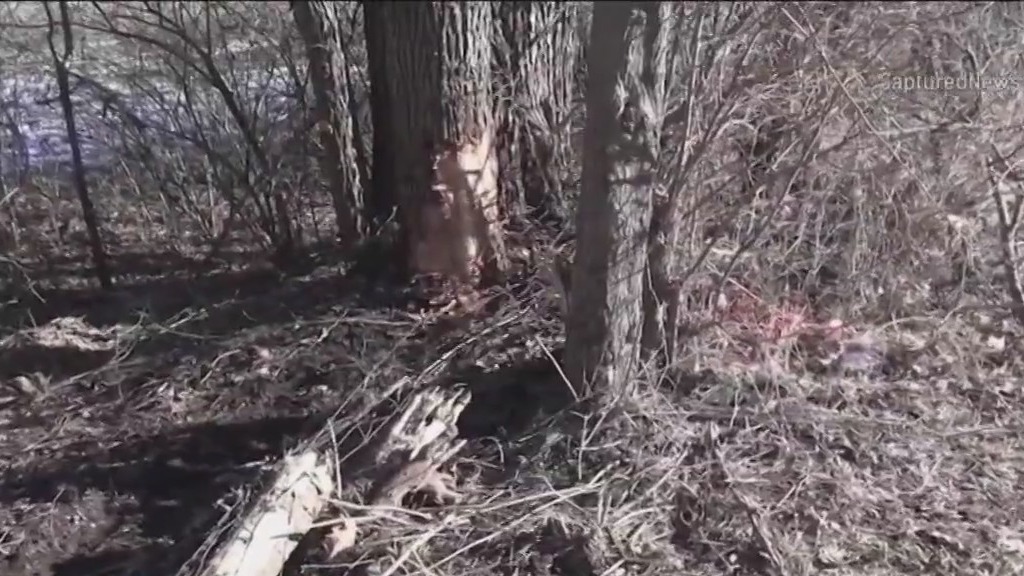 5 teenage girls fighting for their lives after high speed crash in Kane County