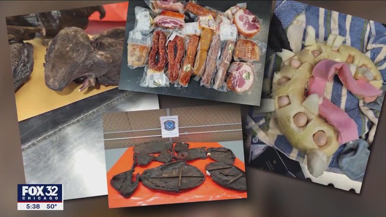 Dried rodents, Italian meats, confiscated by customs officers at O'Hare