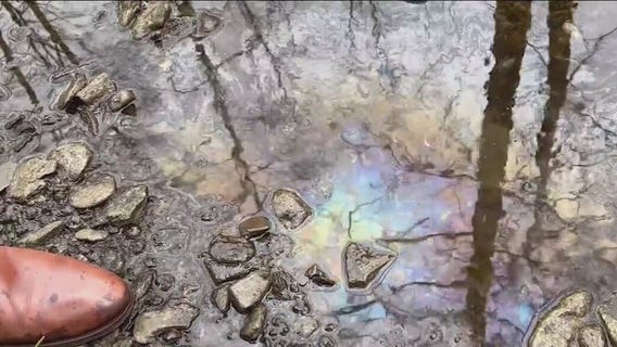 Ohio senator visits creak in East Palestine: 'This is disgusting'