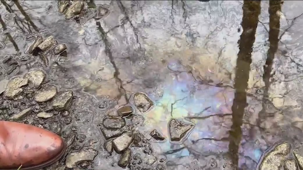 Ohio senator visits creak in East Palestine: 'This is disgusting'