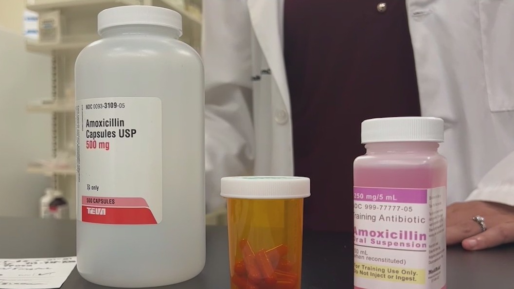 Pharmacists warn all antibiotics in shortage