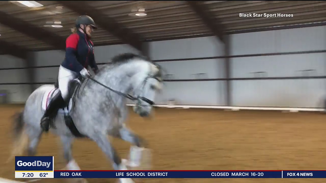 Fox4ward:   Showcasing The Beauty of Horses