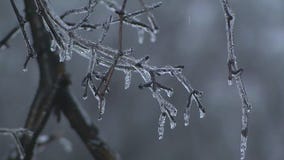Chicago ice storm: Ice, rain creating slick road conditions
