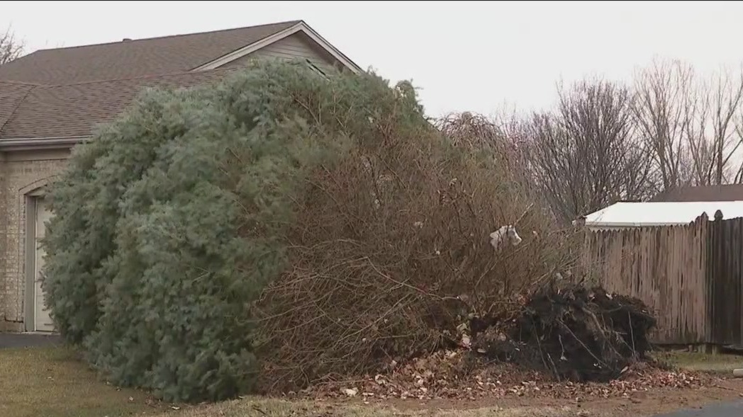 National Weather Service confirms 3 tornadoes in Illinois