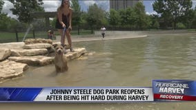 Fox 26 News Brief for June 12, 2018