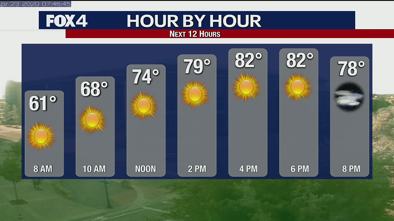 Superb Spring Sunshine