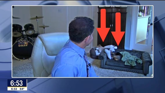 Tell It To Tim: To open or not and Evan's unprofessional dogs