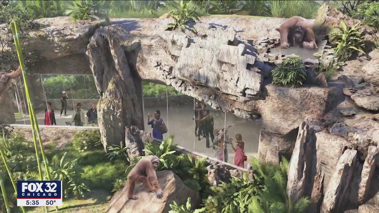 Brookfield Zoo expanding space for apes, monkeys