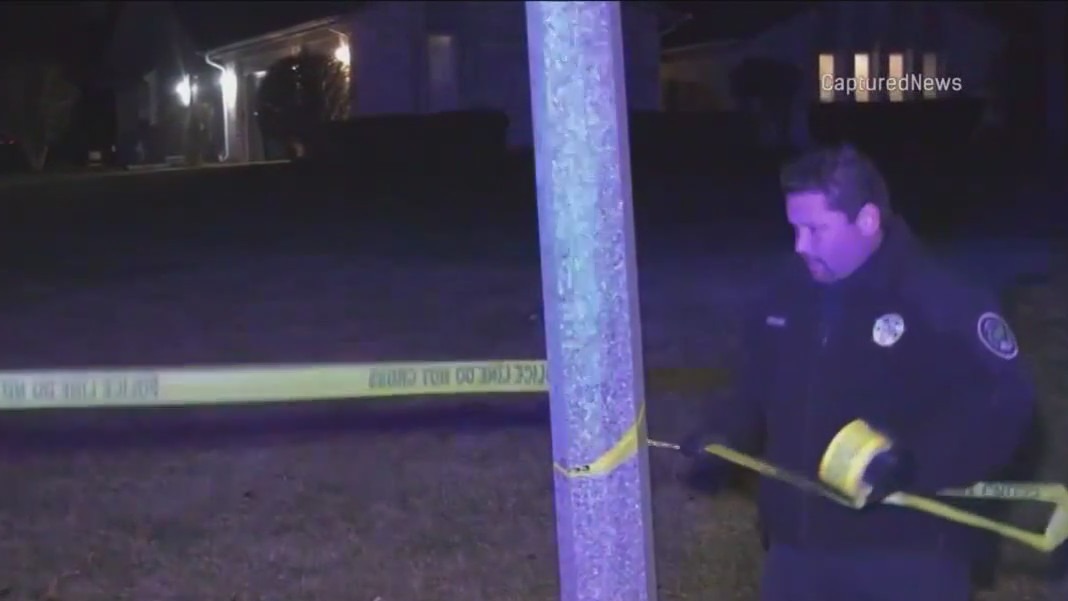 Report reveals new details in Buffalo Grove murder-suicide