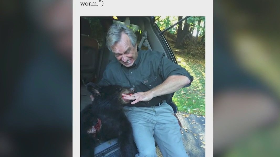 RFK Jr. admits to placing dead bear in Central Park