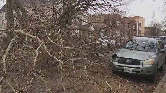 High winds damage buildings, topple trees across Chicago