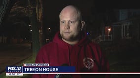 Tree damages Mount Greenwood home, owner speaks out