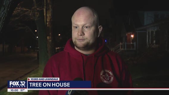 Tree damages Mount Greenwood home, owner speaks out