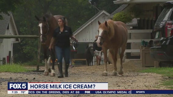 Would New Yorkers try horse milk ice cream?