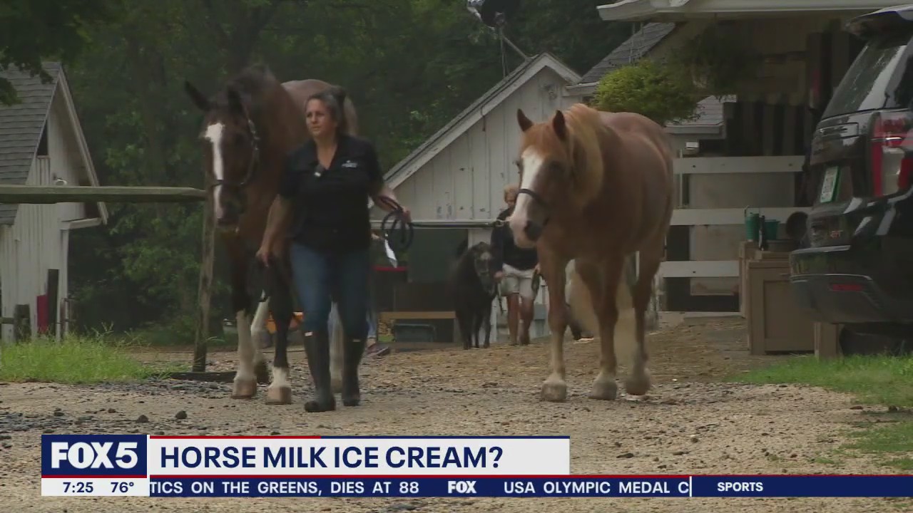 Would New Yorkers try horse milk ice cream?