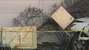 Driver killed after crashing into lightpost, tree in West Lawn